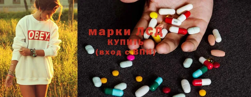 купить наркотик  Боровск  мориарти Telegram  LSD-25 экстази ecstasy 